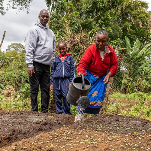 Een gezin in Tanzania verzorgt de gewassen op hun land.